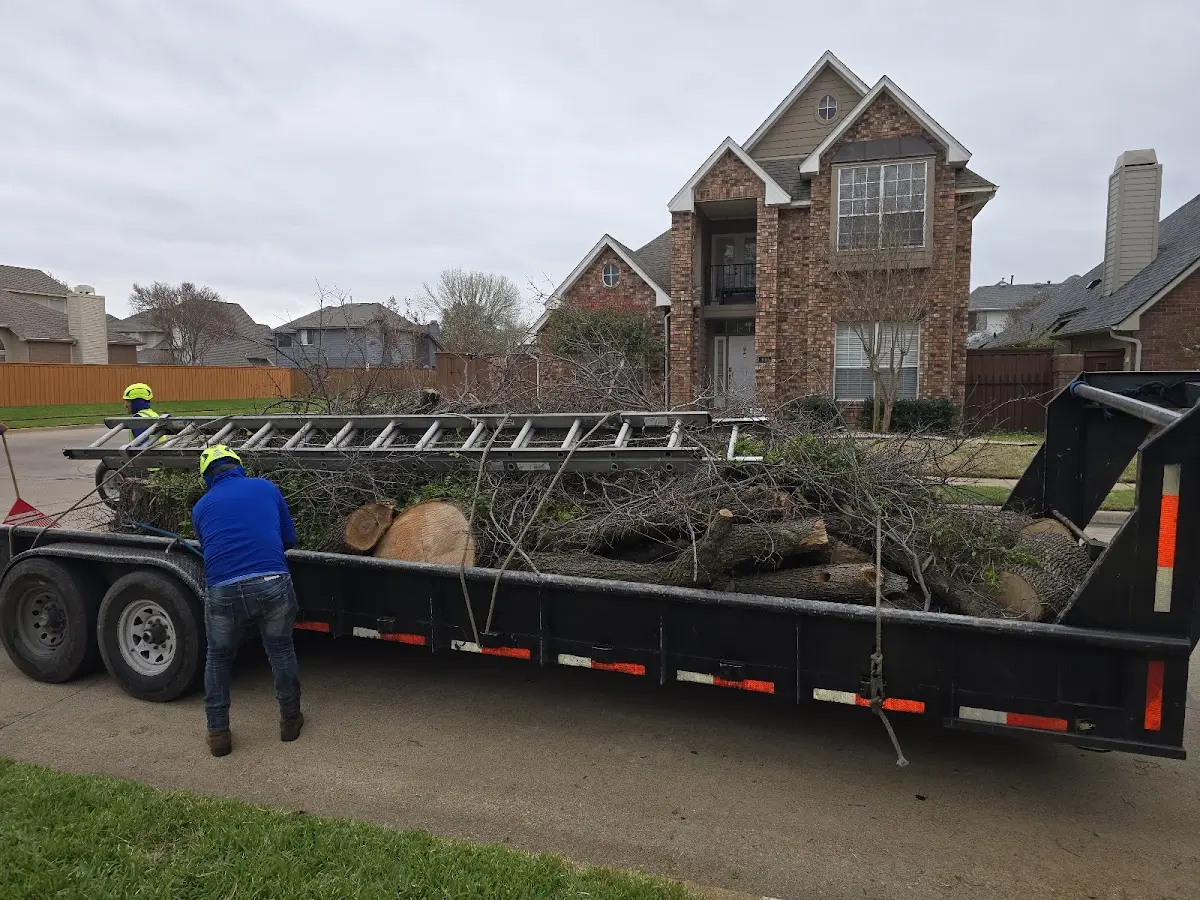 Expert Tree Fertilization with proper safety equipment in Heron